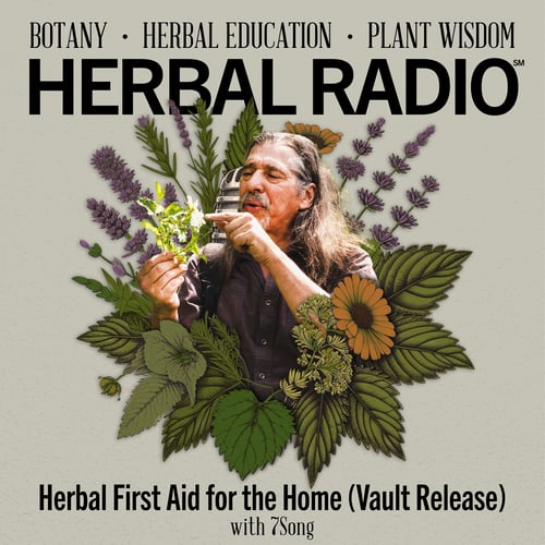 Episode artwork for the Herbal Radio podcast episode, Herbal First Aid for the Home | Featuring 7Song (Vault Release). Image features headshot of 7Song holding up a plant and pointing at it, surrounded by a digitial illustration of wildflowers.