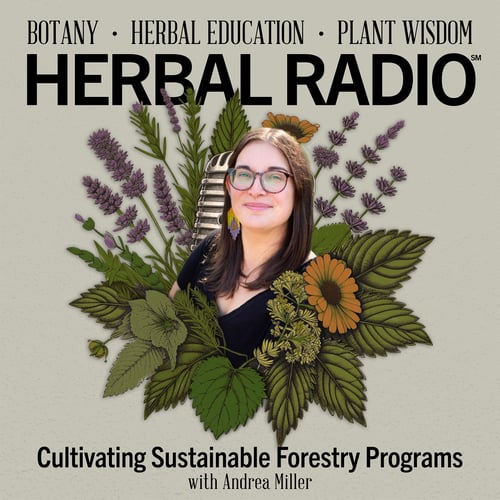 Episode artwork for the Herbal Radio podcast episode, Cultivating Sustainable Forestry Programs | Featuring Andrea Miller. Image features a headshot of Andrea (shoudler length brown hair, light skin, glasses, and black shirt) on a beige background surrounding by digital illustrations of wildflowers. Top text reads: "Botany, Herbal Education, Plant Wisdom. Herbal Radio". Bottom text lists episode title.