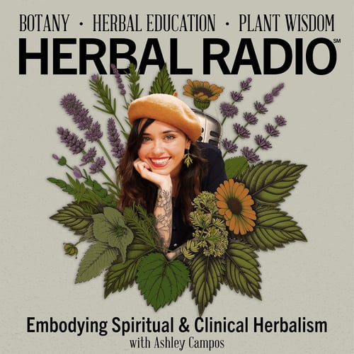 Episode artwork for the Herbal Radio podcast episode: Embodying Spiritual & Clinical Herbalism | Featuring Ashley Campos. Image features Ashley (smiling with long, dark brown hair and a tan beret and red lipstick) surrounded by a digital illustration of wildflowers. 