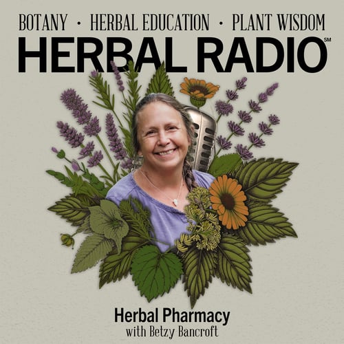 Episode artwork for the Herbal Radio podcast episode, Herbal Pharmacy: Featuring Betzy Bancroft. Image features headshot of Betzy with braided hair in a light purple shirt surrounded by digital illustrations of wildflowers. Top text reads: Botany - Herbal Education - Plant Wisdom HERBAL RADIO.