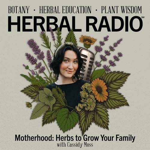 Episode artwork for the Herbal Radio podcast episode, Motherhood: Herbs to Grow Your Family | Featuring Cassidy Moss. Image features cool beige background with headshot of Cassidy surrounded by digital illustrations of wildflowers. Cassidy has short, black hair and is wearing a black shirt.