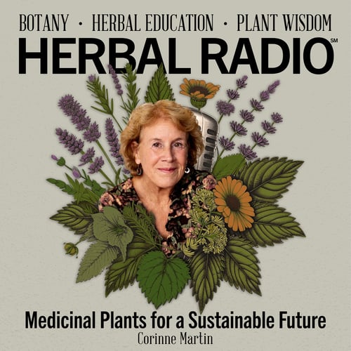 Image artwork for the podcast episode: Medicinal Plants for a Sustainable Future | Featuring Corinne Martin. Image features headshot of Corinne (smiling with short strawberry blonde/ginger hair wearing a dark colored top) surrounded by a digital illustration of wildflowers.