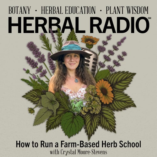 Episode artwork for the Herbal Radio podcast episode, How to Run a Farm-Based Herb School | Featuring Crystal Moore-Stevens. Image features Crystal wearing a wide brim hat with a teal sash, surrounded by a digital illustration of wildflowers.
