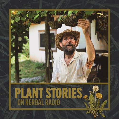 Plant Stories on Herbal Radio Featuring Doug Elliot