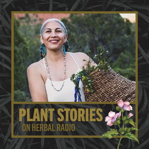 Felicia Cocotzin Ruiz for Plant Stories on Herbal Radio