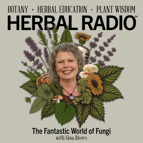 Thumbnail image for The Fantastic World of Fungi | Featuring Gina Rivers on Herbal Radio podcast.
