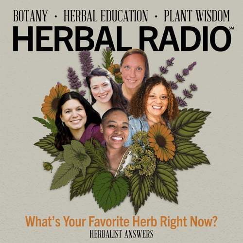 Episode artwork for the Herbal Radio podcast episode. Herbalist Answers: What is Your Favorite Herb Right Now? 