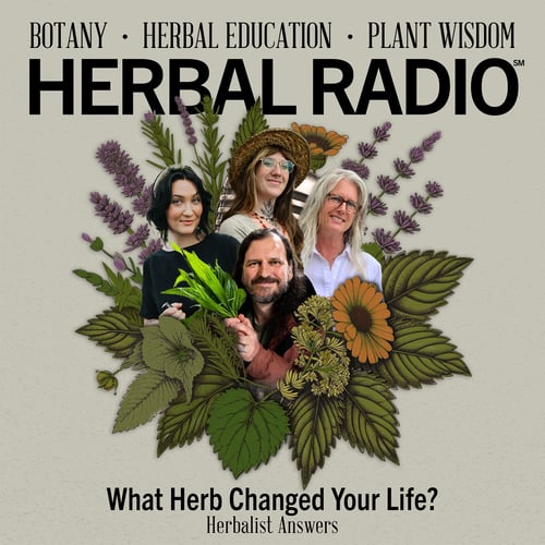 Episode artwork for the Herbal Radio podcast epsiode: Herbalist Answers: What Herb Changed Your Life? Image features headshots of (left to right) Cassidy Moss, Rebecca Beyer, Suzanne Tabert, and Jim mcdonald surrounded by digitial illustrations of wildflowers.