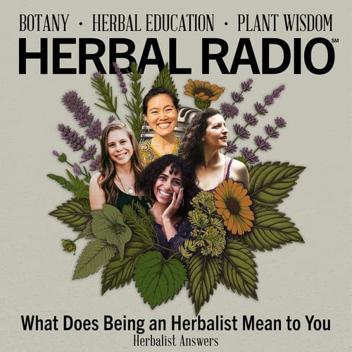 Episode artwork for the podcast episode: Herbalist Answers: What Does Being an Herbalist Mean to You?. Image features left to right: Brita LaTona, Jiling Lin, Anjali Deva, and Shana Lipner Grover surrounded by digital illustration of wildflowers.