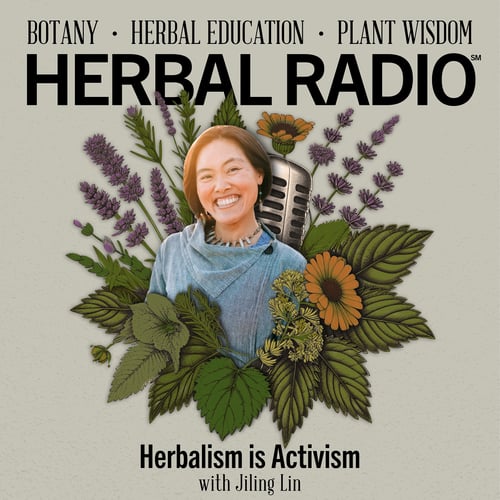 Thumbnail for the Herbal Radio podcast episode "Herbalism is Activism | Featuring Jiling Lin." Graphic features a photo of Jiling surrounded by plants. Text for the episode title is on the bottom of the graphic.