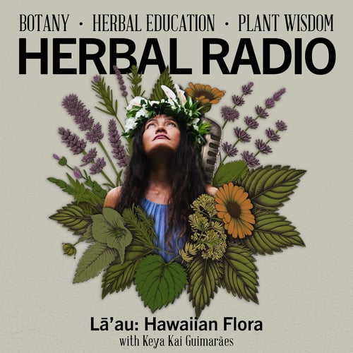 Episode artwork for the podcast episode: Lāʻau: Hawaiian Flora with Keya Kai Guimarães | Tea Talks with Jiling