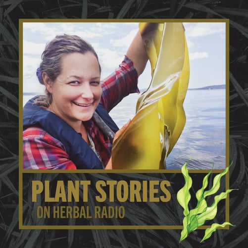 Kristy Bredin for Plant Stories on Herbal Radio