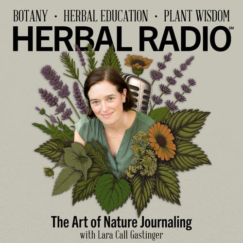 Episode artwork for the Herbal Radio Podcast episode, The Art of Nature Journaling, with Lara Call Gastinger | Tea Talks with Jiling.