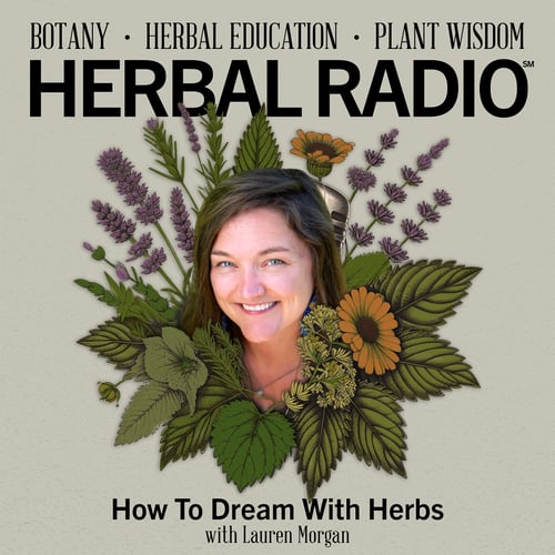 Episode artwork for the Herbal Radio podcast episode, How to Dream with Herbs | Featuring Lauren Morgan. Image features beige background with digital illustrations of wildflowers and a cutout headshot of Lauren in the center. Lauren is smiling and has light brown hair, light skin, and blue eyes. Image text reads: Botany - Herbal Education- Plant Wisdom - Herbal Radio
