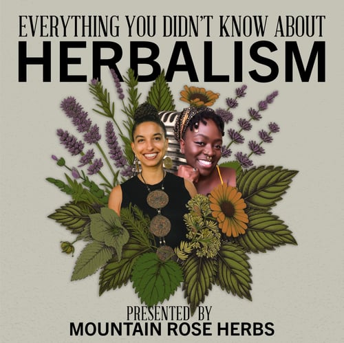 Leah Penniman and Lulu Moyo for Everything You Didn't Know About Herbalism