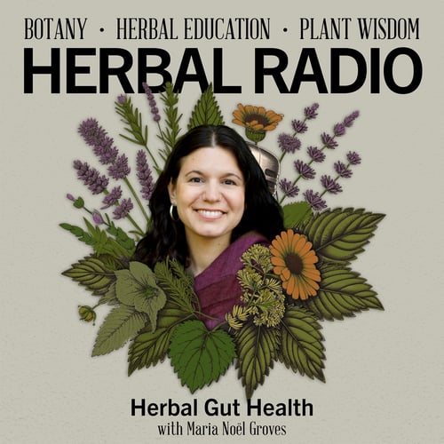 Maria Noel Groves for the podcast episode: Herbal Gut Health on Herbal Radio