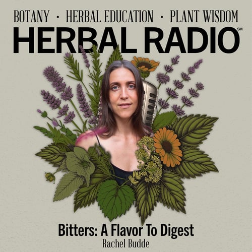 Episode artwork for the Herbal Radio podcast episode: Bitter: A Flavor to Digest | Featuring Rachel Budde. Image features headshot of Rachel (long, straight brown hair, blue eyes, tan skin, wearing black tank top while smiling) surrounded by a digitial illustration of wildflowers. 
