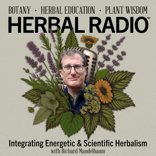 Episode artwork for the Herbal Radio podcast episode: Integrating Energetic & Scientific Herbalism | Featuring Richard Mandelbaum, Image features headshot of Richard wearing glasses with short hair, surrounded by a digital illustration of wildflowers.