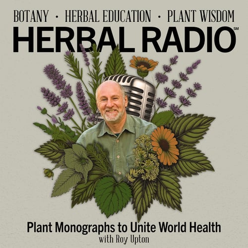 Episode artwork for the Herbal Radio podcast episode: Plant Monographs & Old Herbal Books | Featuring Roy Upton. Image features Roy smiling, wearing a sage green button up shirt, surrounded by a digital illustration of wildflowers. 