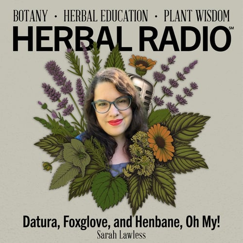 Episode artwork for the Herbal Radio podcast episode, Datura, Foxglove, and Henbane, Oh My! | Featuring S.A. Lawless. Image features headshot of S.A. (light brown hair, cat eye glasses, bright red lipstick, and a blue top), surrounded by a digital illustration of wildflowers.