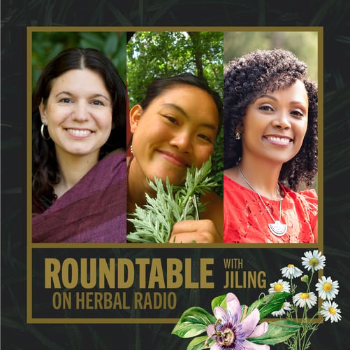 Maria Noel Groves, Jiling Lin, and Tesia Love for Tea Talks Roundtable