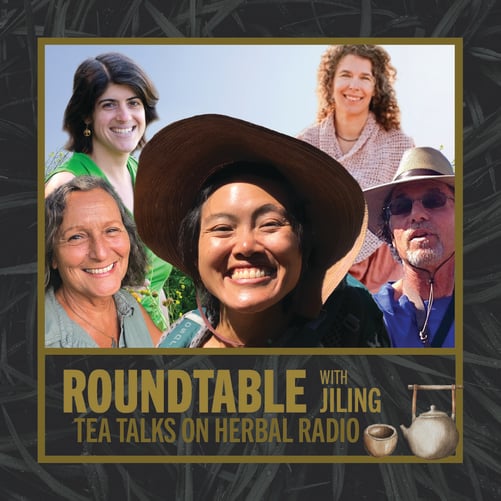 Tea Talks Roundtable featuring Lenny Kaufer, Emily Sanders, Carol Wade, Lindsay Kolasa, and Jiling Lin