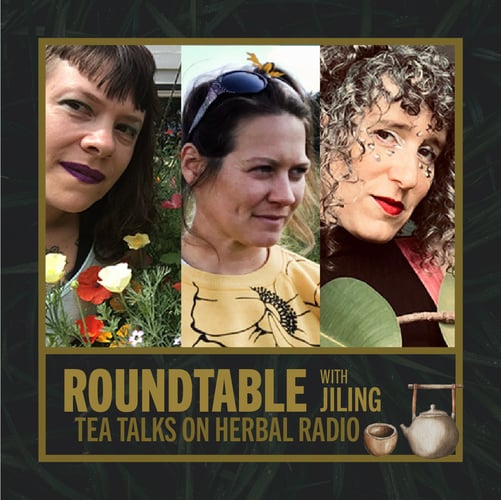 TeaTalks_Roundtable_StonefruitCommunity