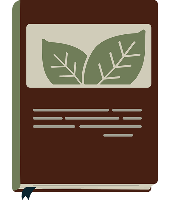 icon Books & Education