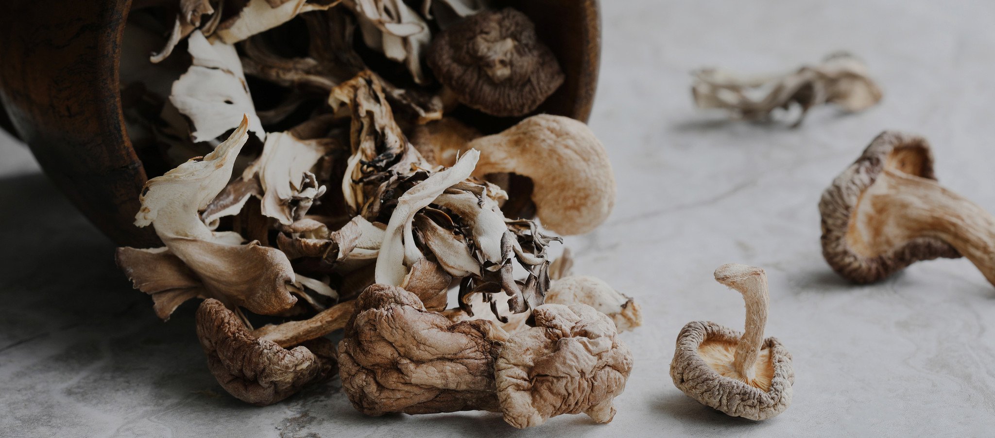 shop Mushrooms