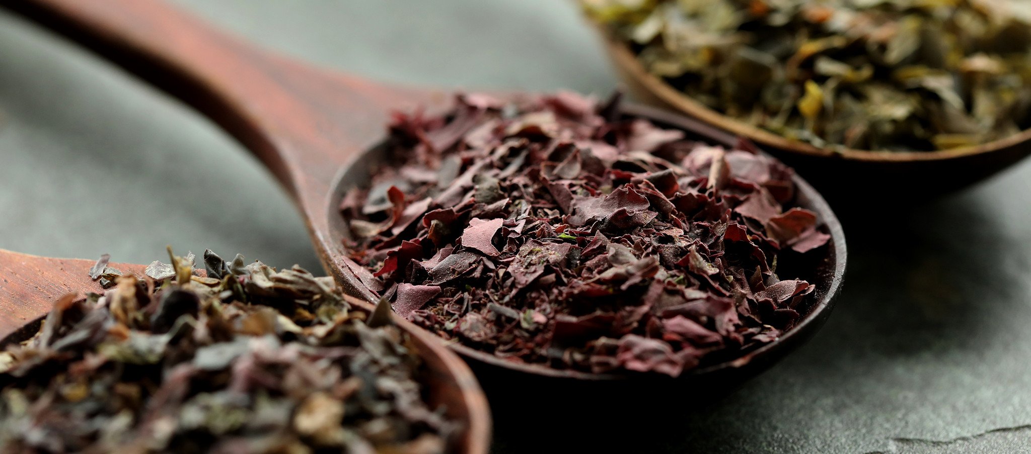 shop Seaweeds