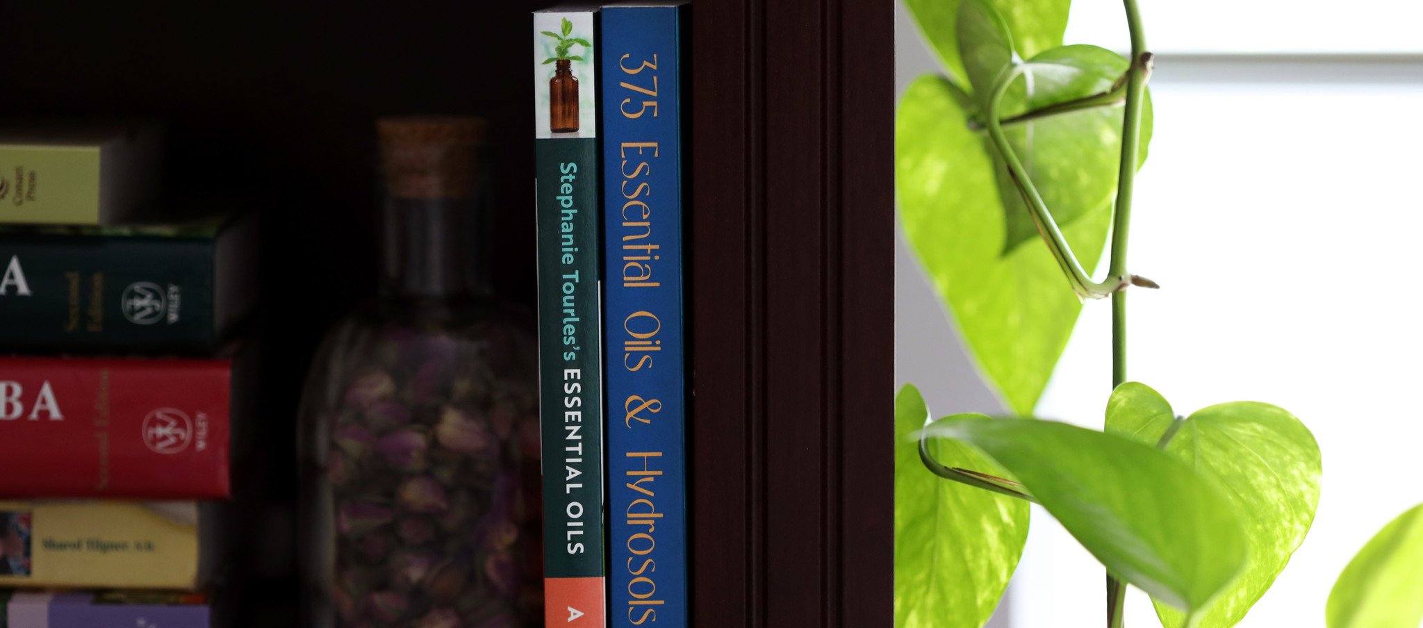 shop Aromatherapy & Essential Oils