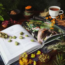 HERBAL EDUCATORS & SCHOOLS