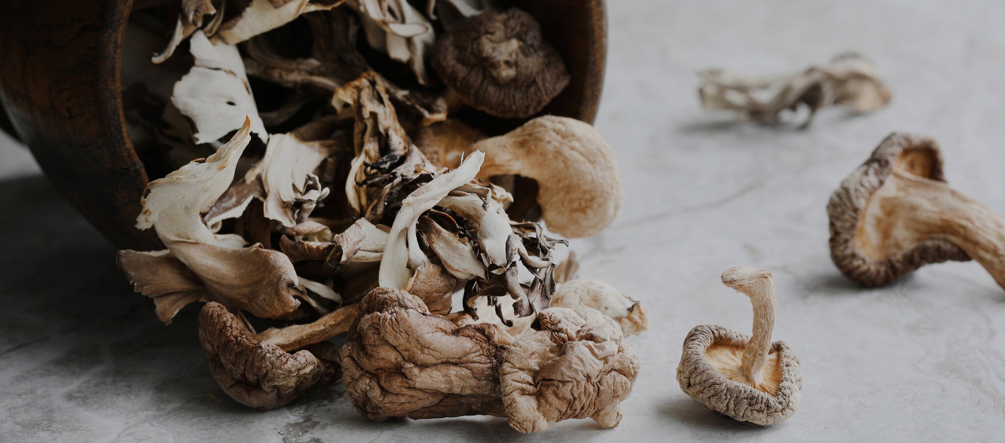 shop Mushrooms