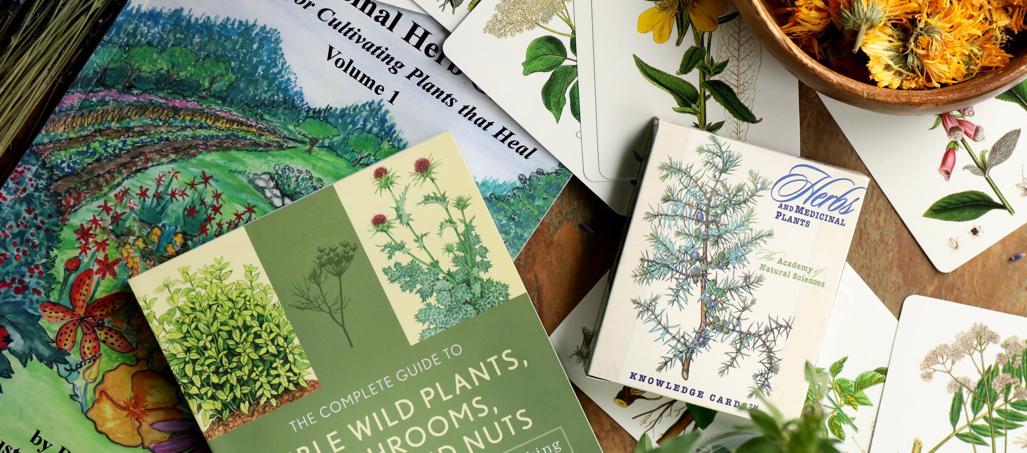 shop Plant Guides & Gardening