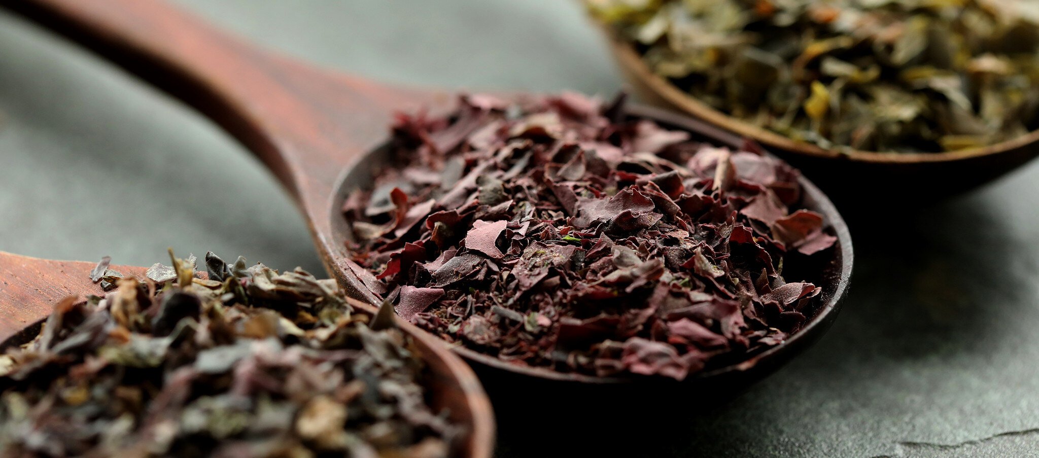 shop Seaweeds