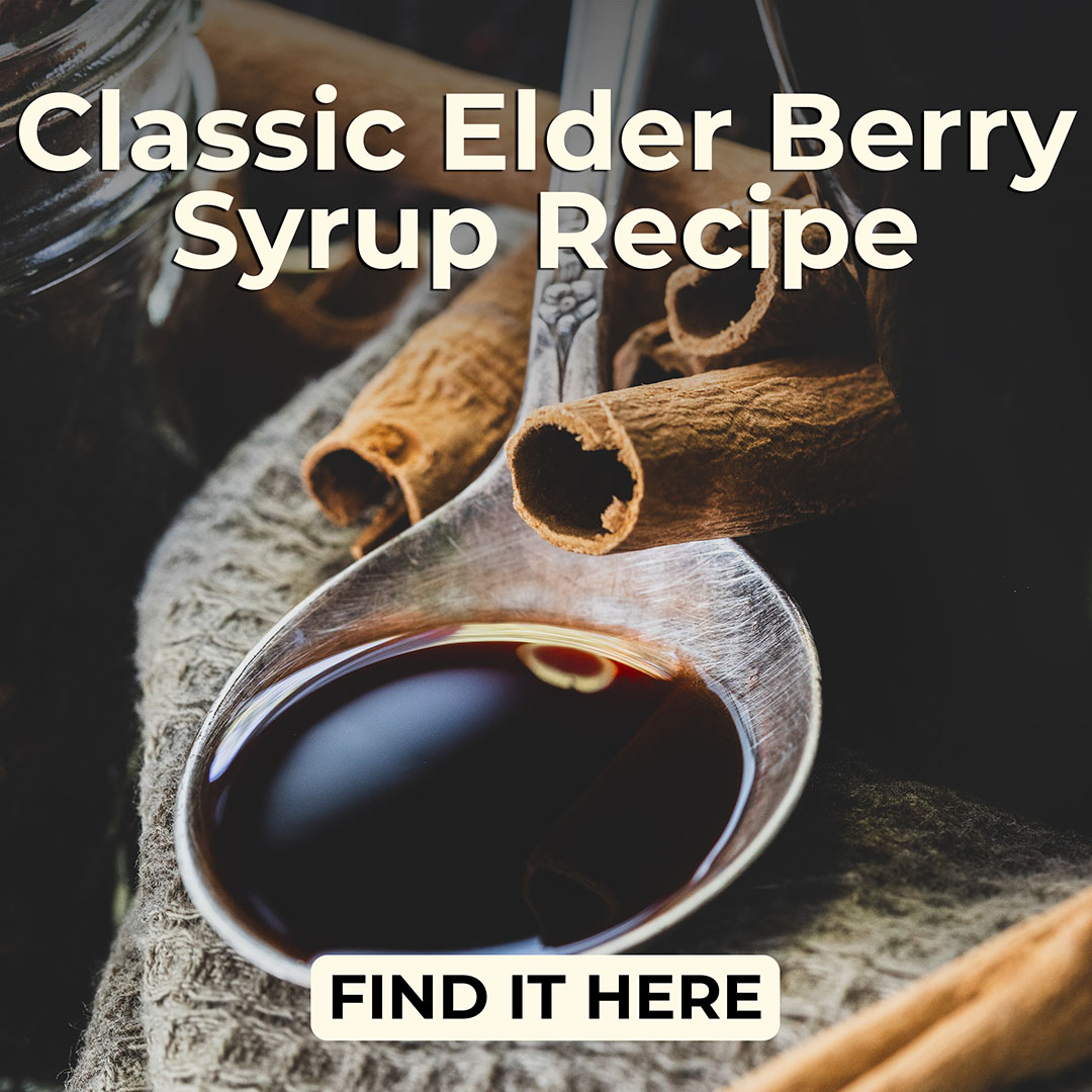 Classic Elderberry Syrup